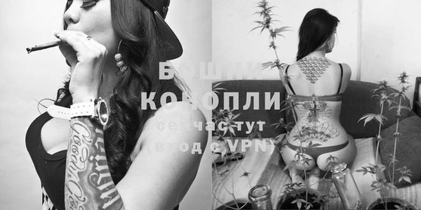 шишки Михайловск