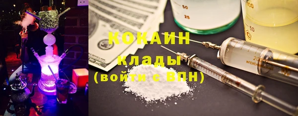 сатива Михайлов