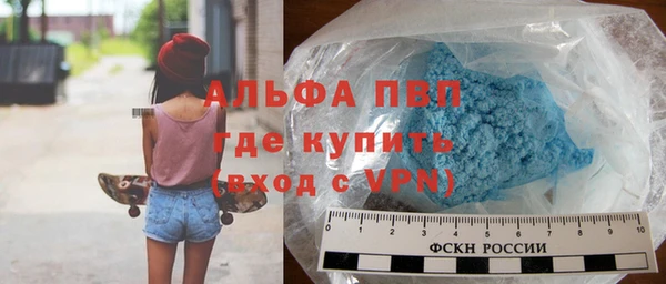 шишки Михайловск