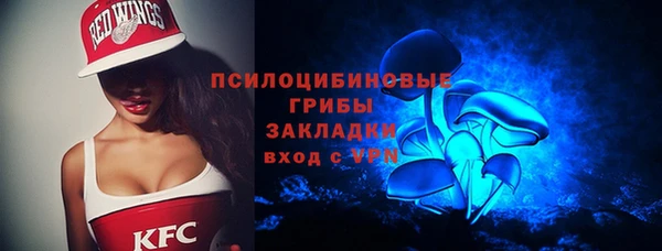 сатива Михайлов