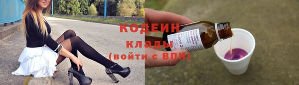 шишки Михайловск