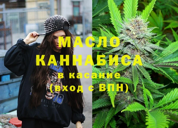 шишки Михайловск