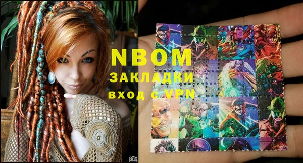 шишки Михайловск