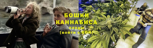 ГАЛЛЮЦИНОГЕННЫЕ ГРИБЫ Янаул