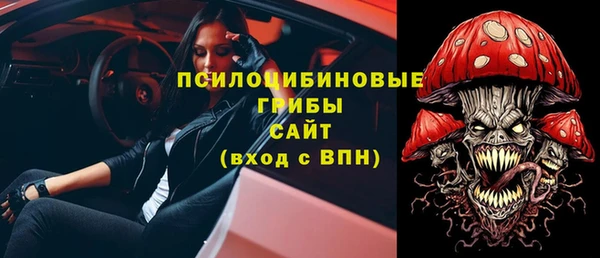 шишки Михайловск