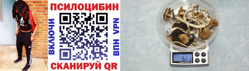 Галлюциногенные грибы Psilocybine cubensis  МЕГА сайт  Муром 