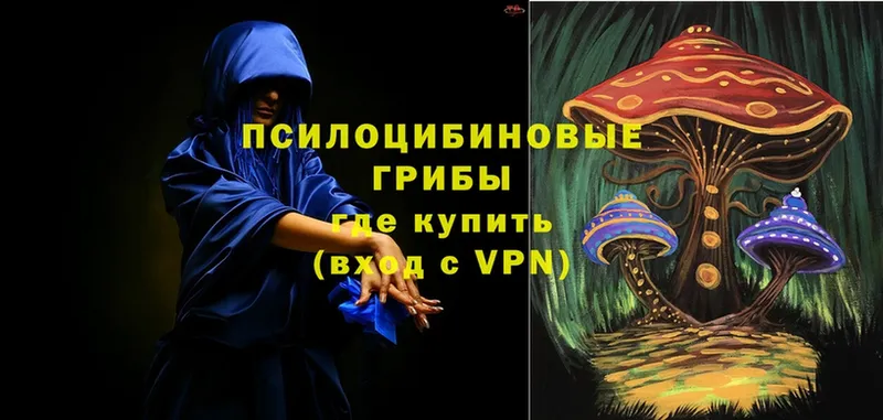 Галлюциногенные грибы MAGIC MUSHROOMS  купить наркоту  KRAKEN tor  Муром 