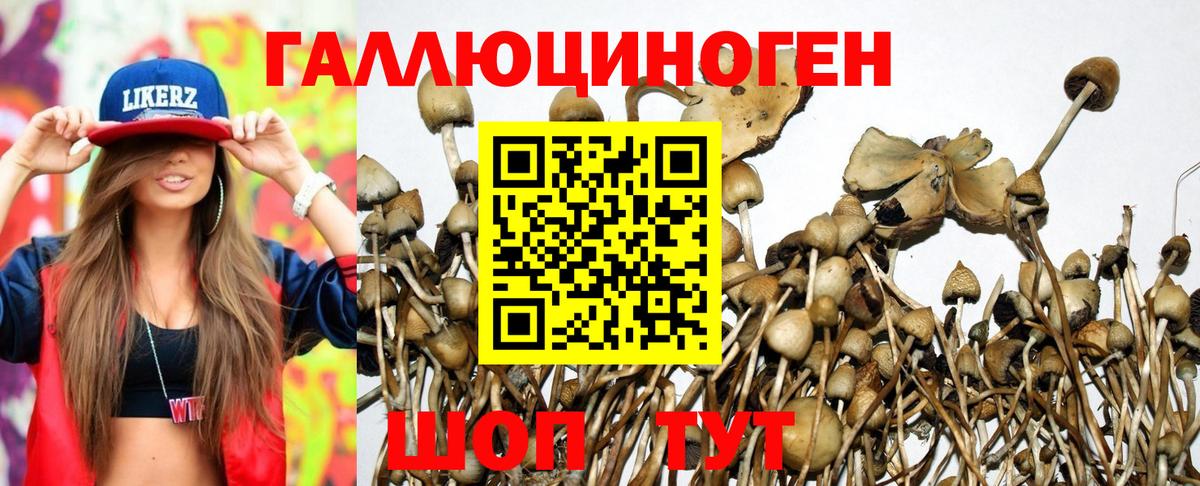 Псилоцибиновые грибы MAGIC MUSHROOMS Муром